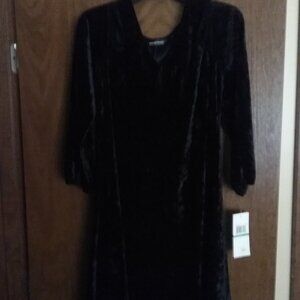 Black crush velvet dress